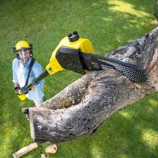 Best Firewood Processing and Delivery  in Kaufman, TX